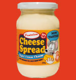 Cream Cheese Spread Light